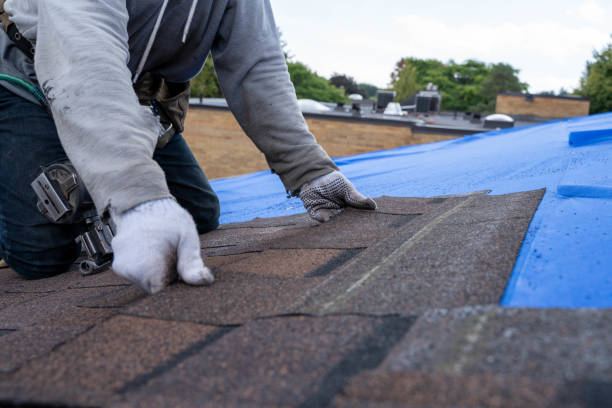 Fast & Reliable Emergency Roof Repairs in Goldstream, AK