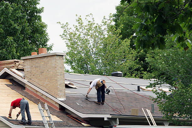 Best Green or Eco-Friendly Roofing Solutions  in Goldstream, AK