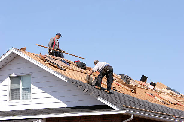 Best Roof Leak Repair  in Goldstream, AK