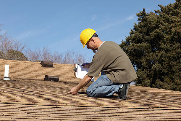 Best Asphalt Shingle Roofing  in Goldstream, AK